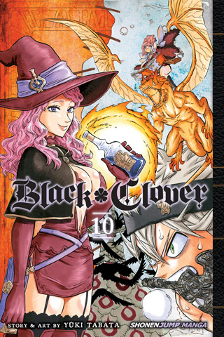 Black Cat, Vol. 9