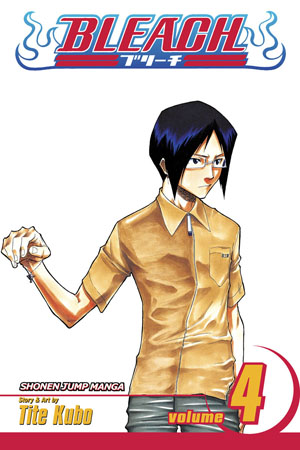 Bleach, Vol. 3