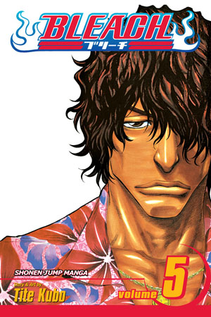 Bleach, Vol. 4