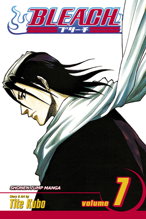 Bleach, Vol. 6