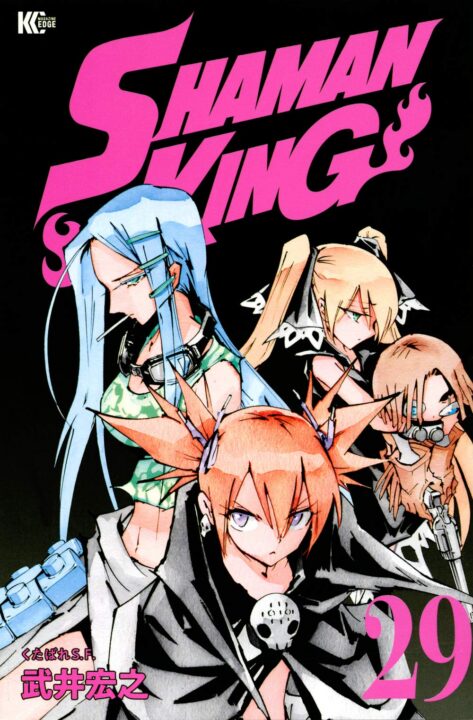 Shaman King – Flowers, Vol. 29