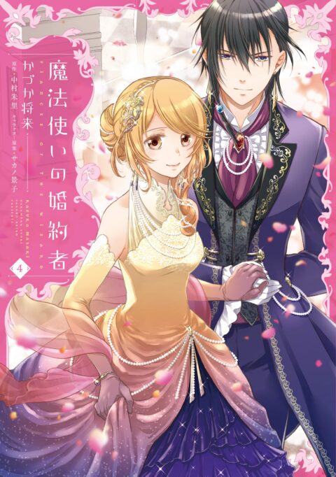 Fiancée of the Wizard, Vol. 4