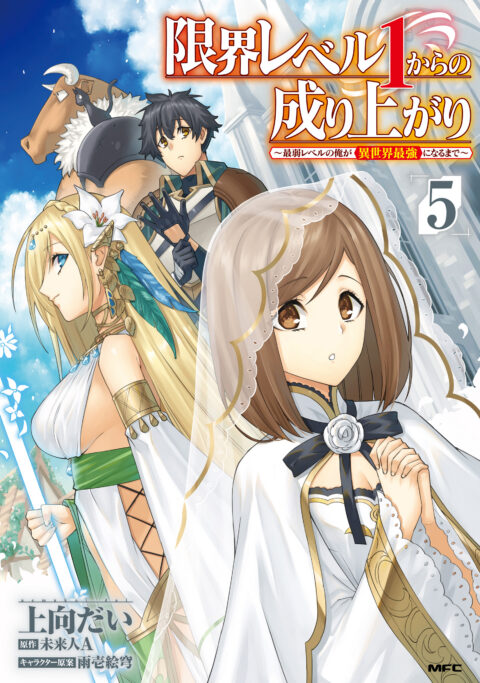 Housekeeping Mage From Another World, Vol. 5