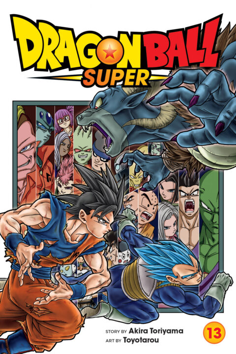 Dragon Ball Super, Vol. 12