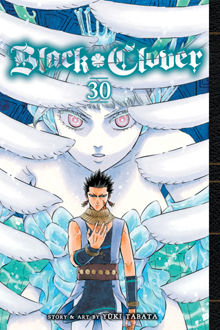 Black Clover, Vol. 29
