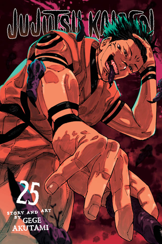 Jujutsu Kaisen – The Official Character Guide, Vol. 25