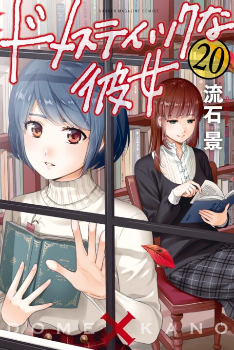 Domestic Girlfriend, Vol. 20