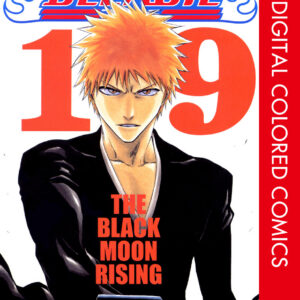 Bleach, Vol. 19