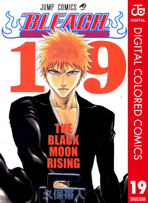 Bleach, Vol. 19