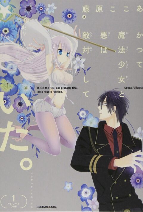 The Magical Girl and the Evil Lieutenant Used to Be Archenemies, Vol. 1