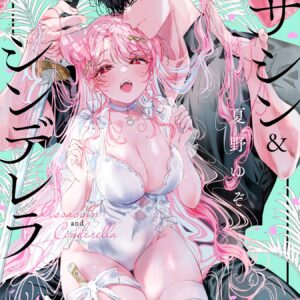 Assassin & Cinderella, Vol. 4