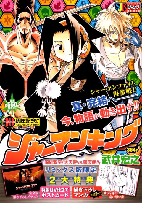 Shaman King, Vol. 11