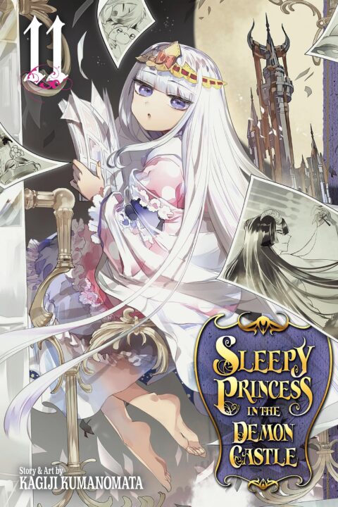 Sleepy Princess in the Demon Castle, Vol. 11