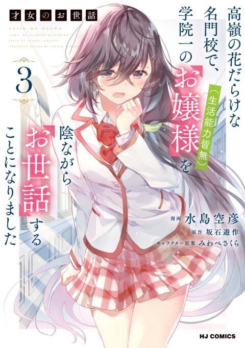 A Tale of the Secret Saint, Vol. 3