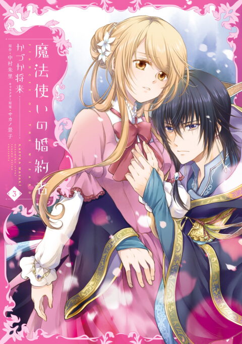 Fiancée of the Wizard, Vol. 3