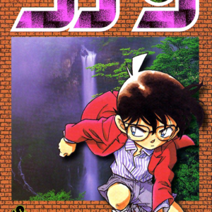 Case Closed, Vol. 28