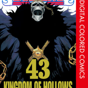 Bleach, Vol. 43
