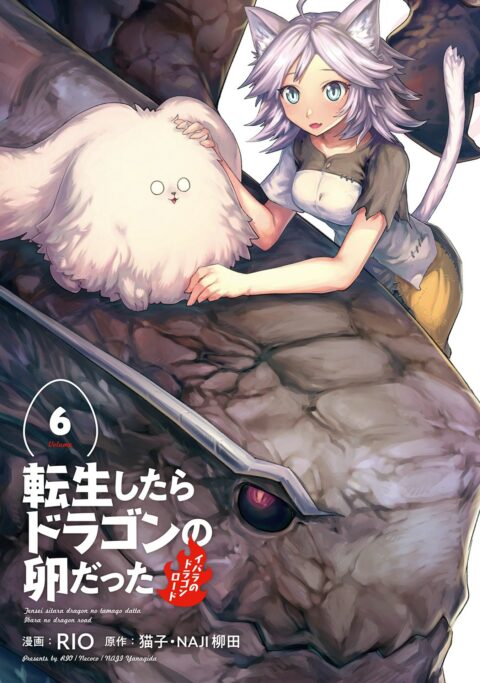 Reincarnated as a Dragon Hatchling, Vol. 6