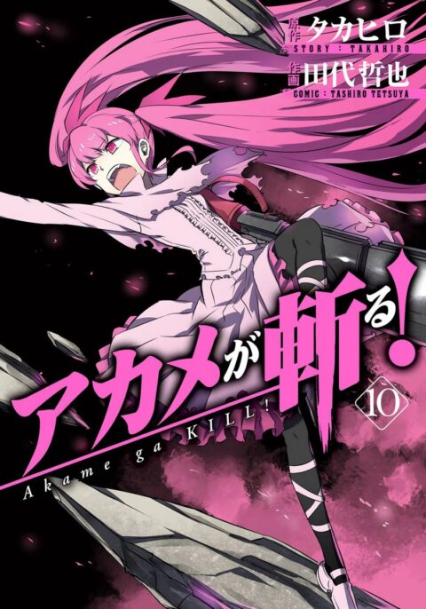 Akame ga KILL!, Vol. 10