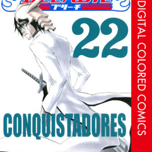 Bleach, Vol. 22