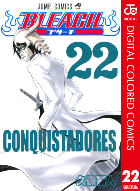 Bleach, Vol. 22
