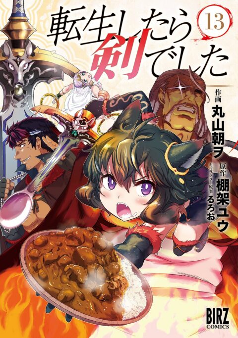 Reincarnated as a Sword, Vol. 13