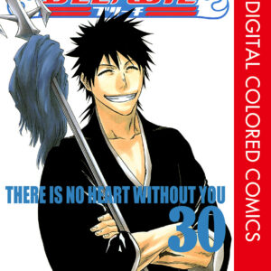 Bleach, Vol. 30