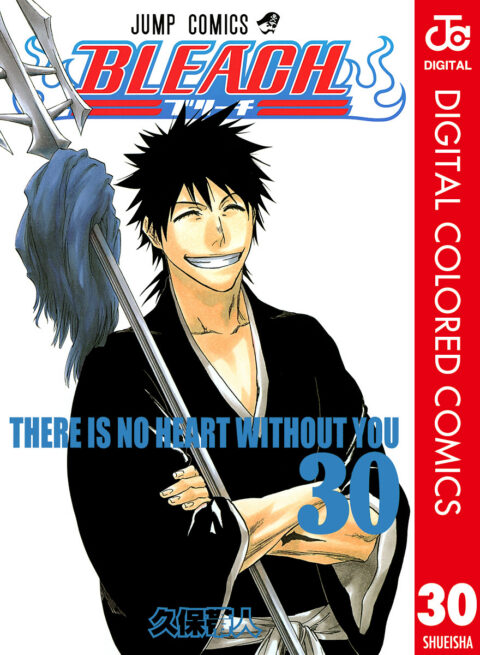 Bleach, Vol. 30