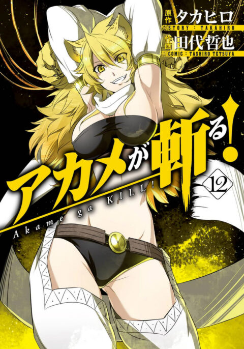 Akame ga KILL!, Vol. 12