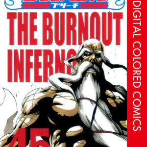 Bleach, Vol. 45