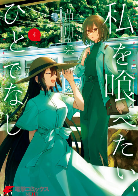 Monster: The Perfect Edition, Vol. 4