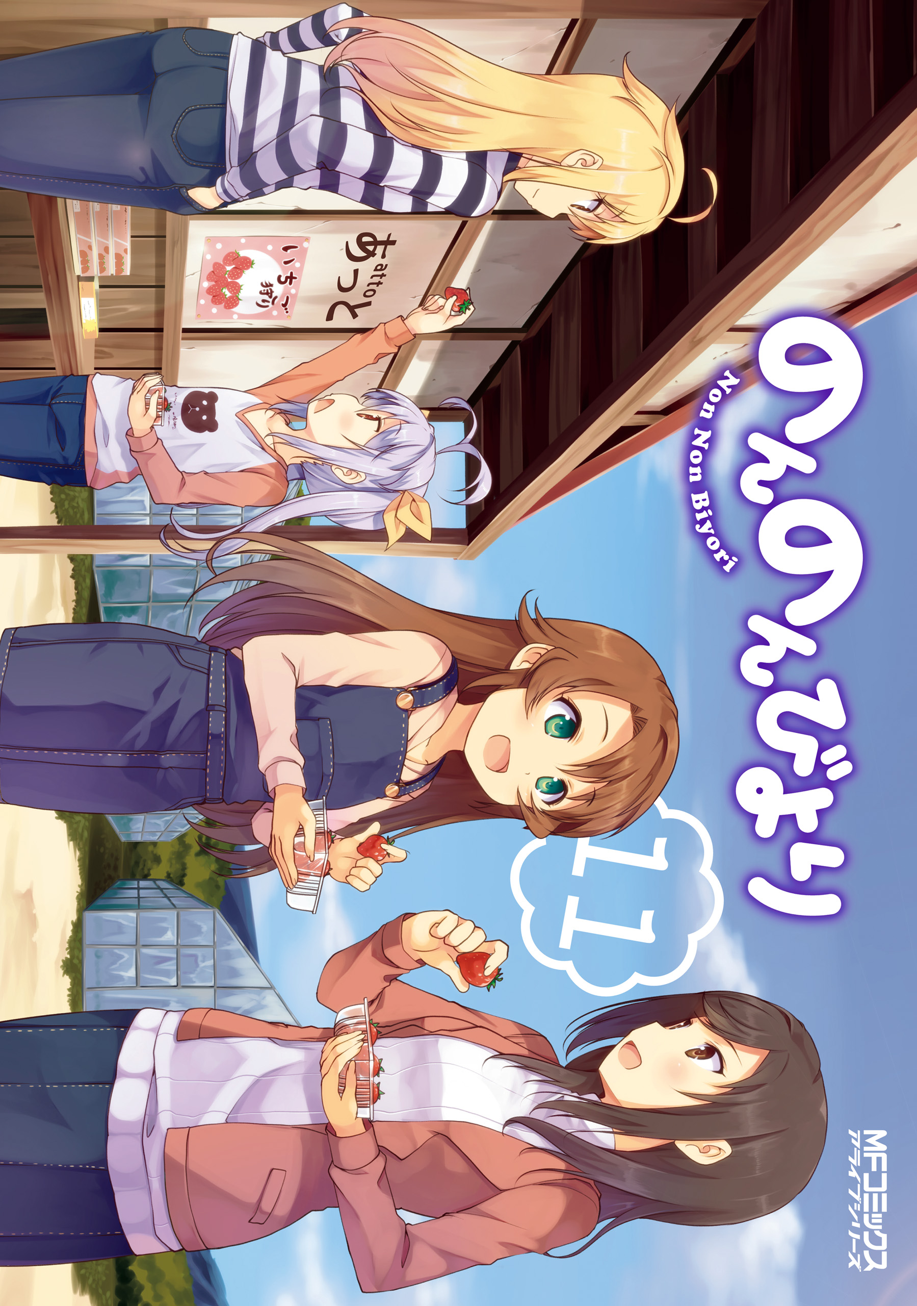 Non Non Biyori, Vol. 11