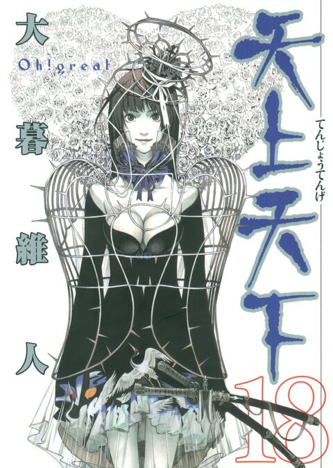 Tenjo Tenge, Vol. 18