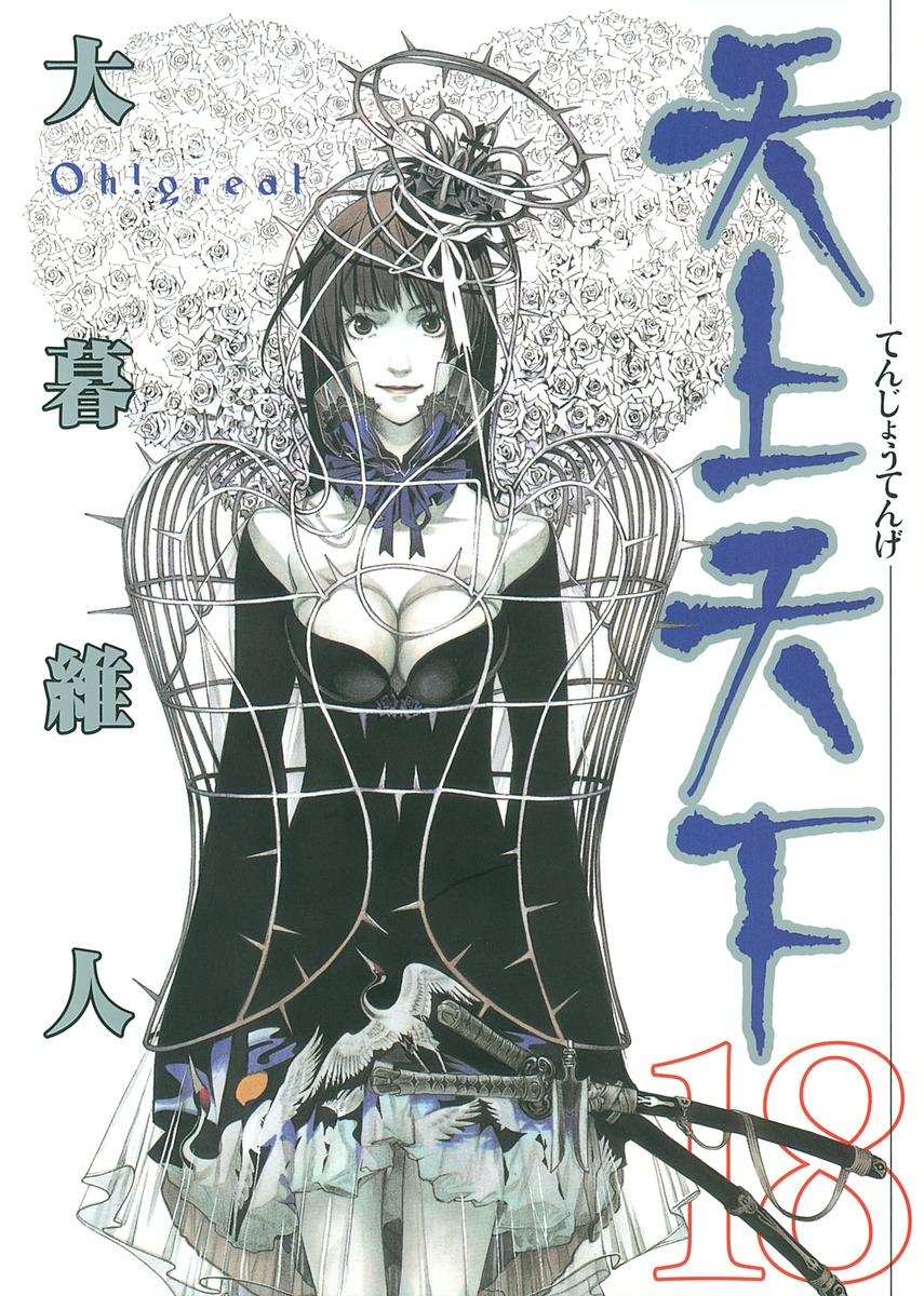 Tenjo Tenge, Vol. 18