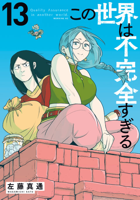 Quality Assurance in Another World, Vol. 13