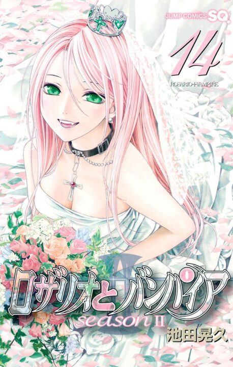 Rosario+Vampire: Season II, Vol. 14