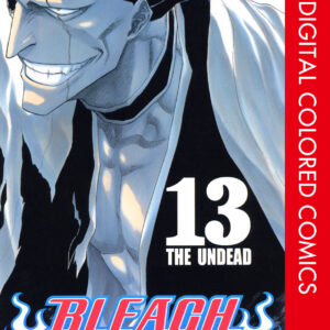 Bleach, Vol. 13