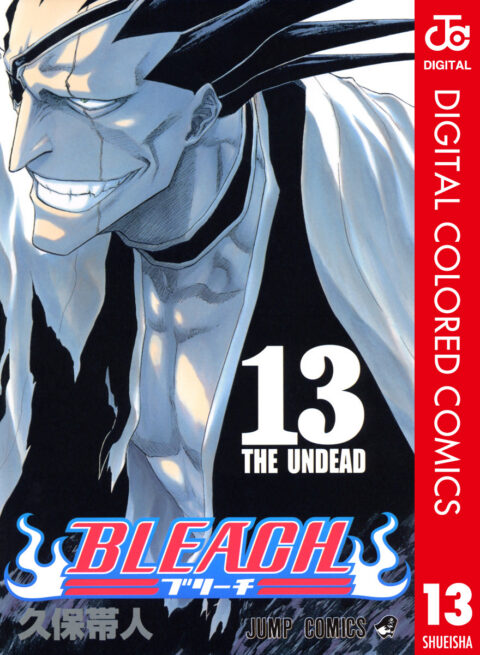 Bleach, Vol. 13
