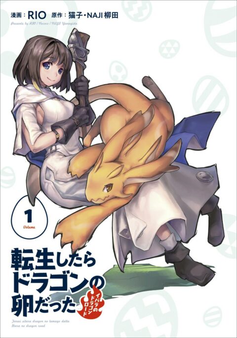 Reincarnated as a Dragon Hatchling, Vol. 1