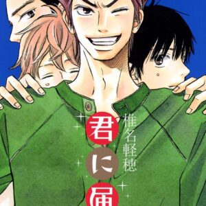 Kimi ni Todoke, Vol. 19