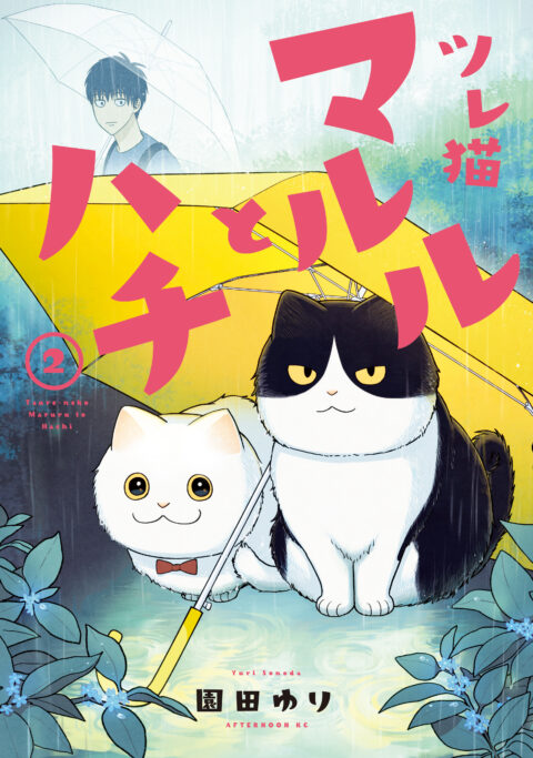 Cat Companions Maruru and Hachi, Vol. 2