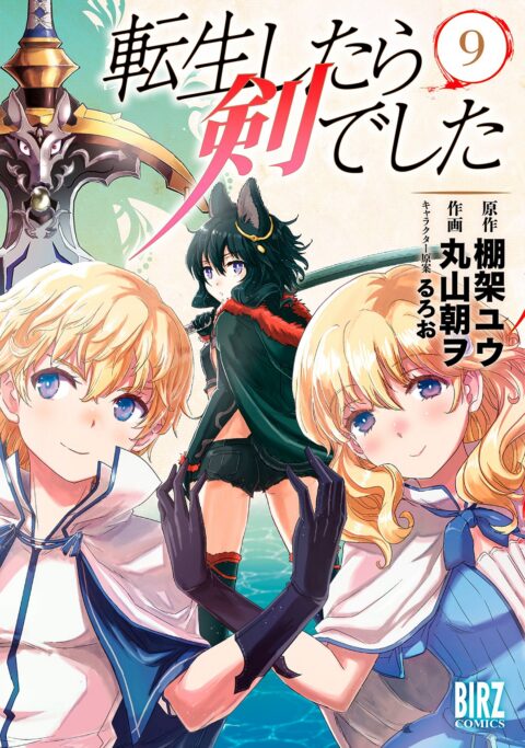 Reincarnated as a Sword, Vol. 9