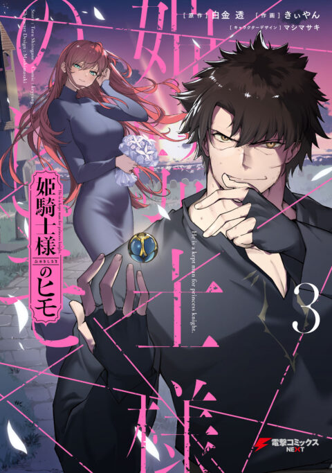 The Kept Man of the Princess Knight, Vol. 3
