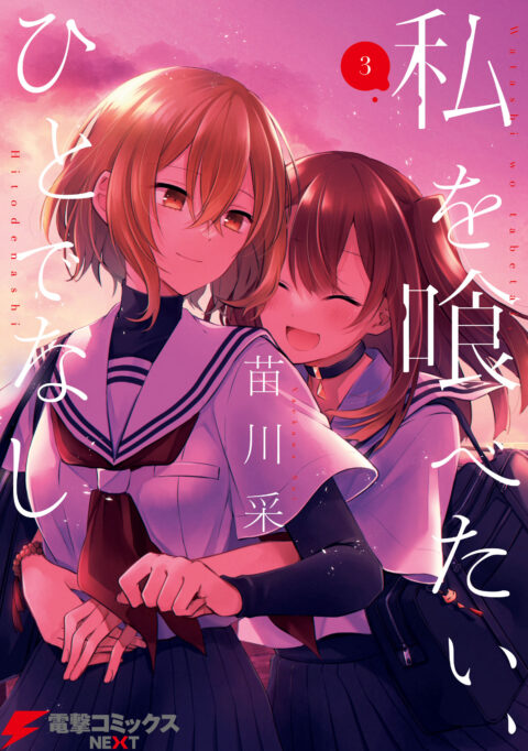 Monster: The Perfect Edition, Vol. 3