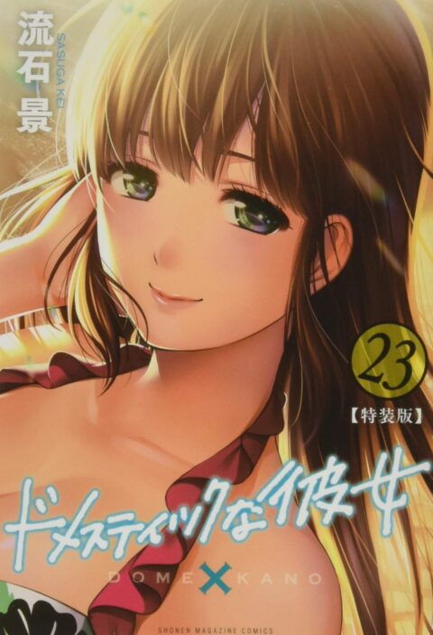 Domestic Girlfriend, Vol. 23