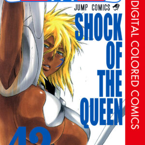 Bleach, Vol. 42
