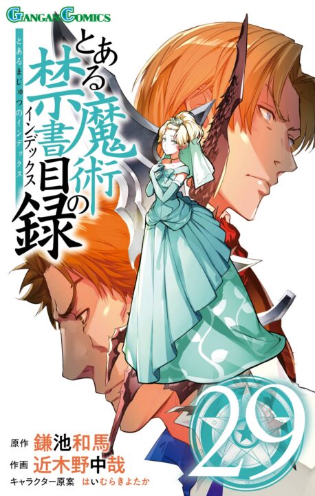 Magi: The Labyrinth of Magic, Vol. 29
