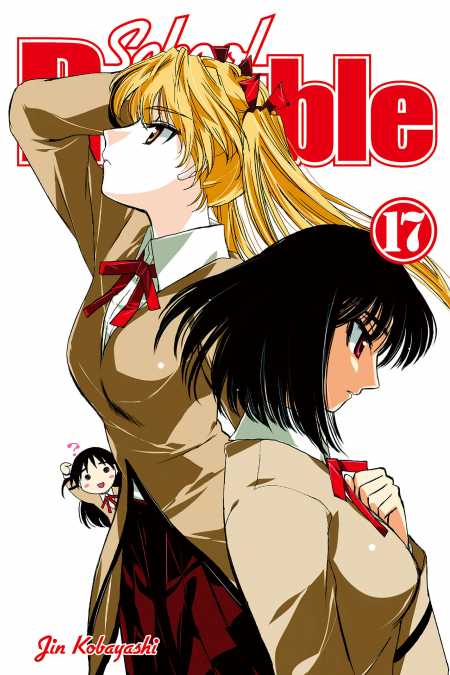 School Rumble, Vol. 17