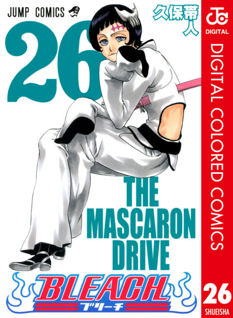 Bleach, Vol. 26