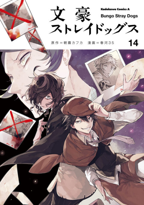 Bungo Stray Dogs, Vol. 14